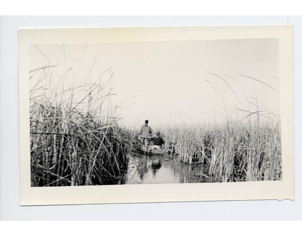 black and while photograph of a duck hunter in a boat in between marsh plants