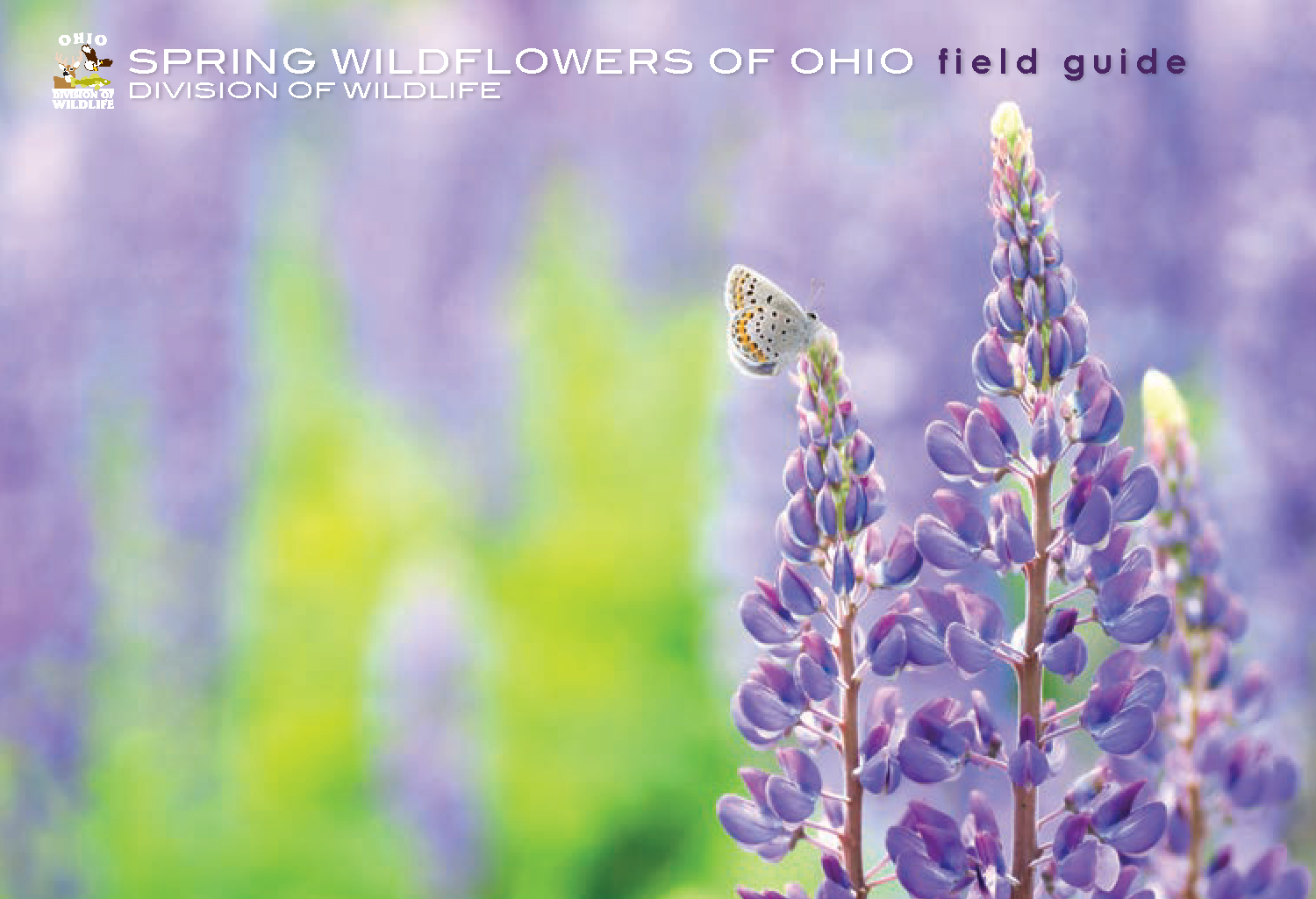 Spring wildflowers of Ohio : field guide Preview